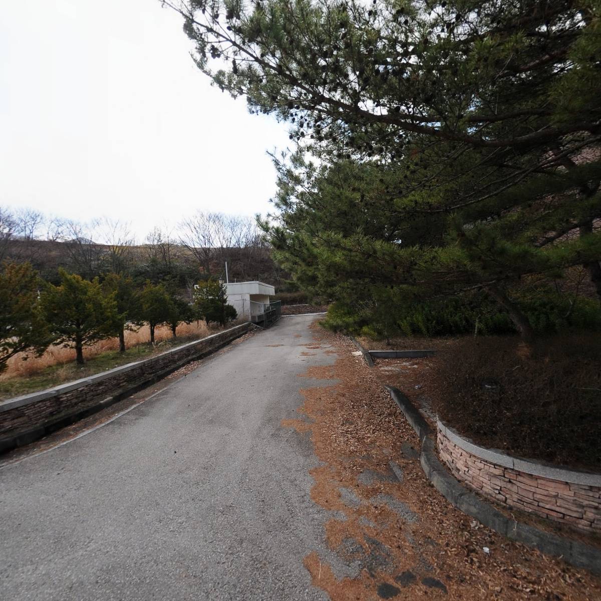 주식회사 블루썬