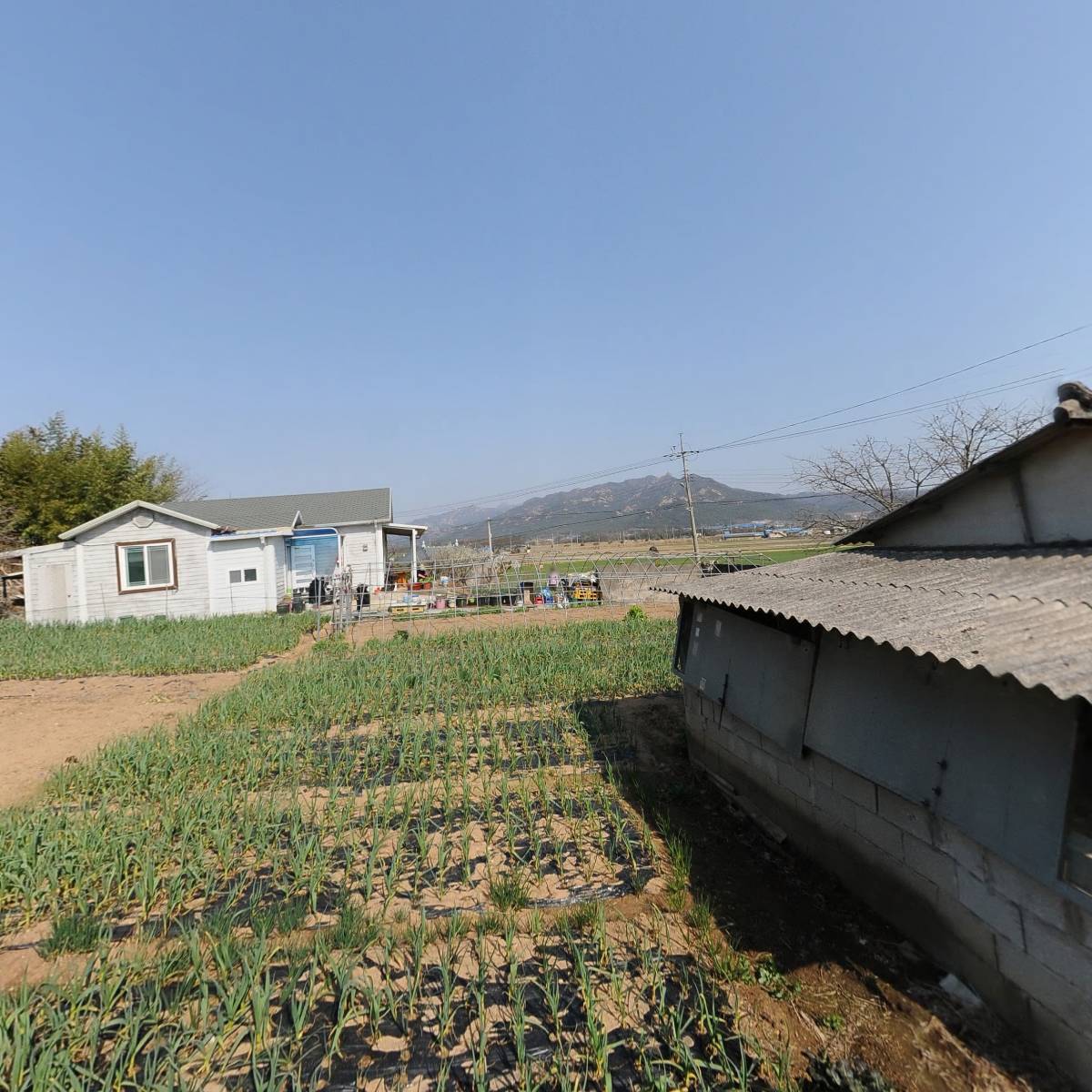 연호 태양광