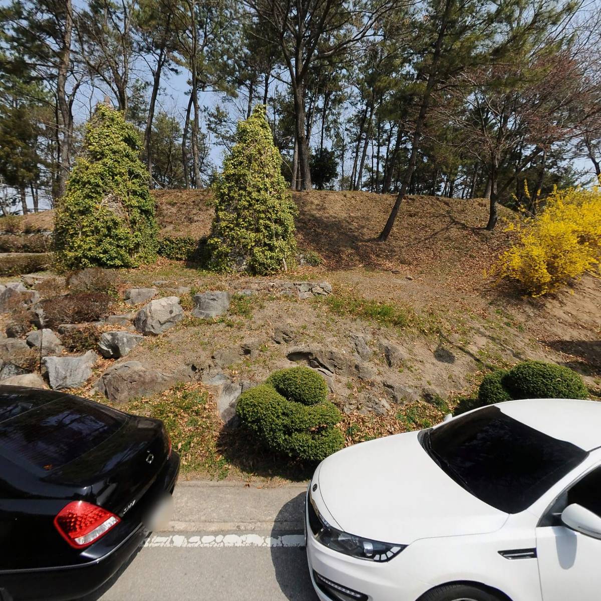 동신대학교 비전케어센터