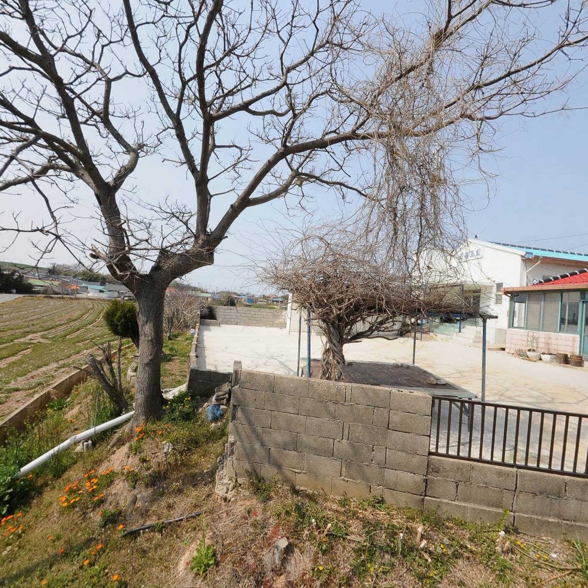 화평교회_3