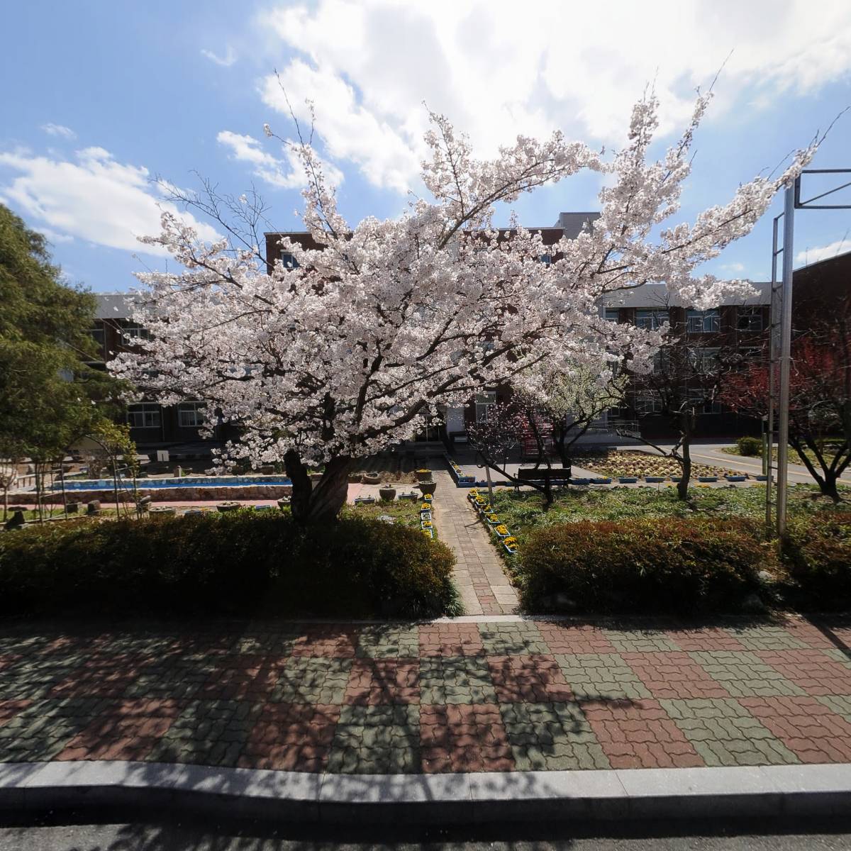 광주교육대학교