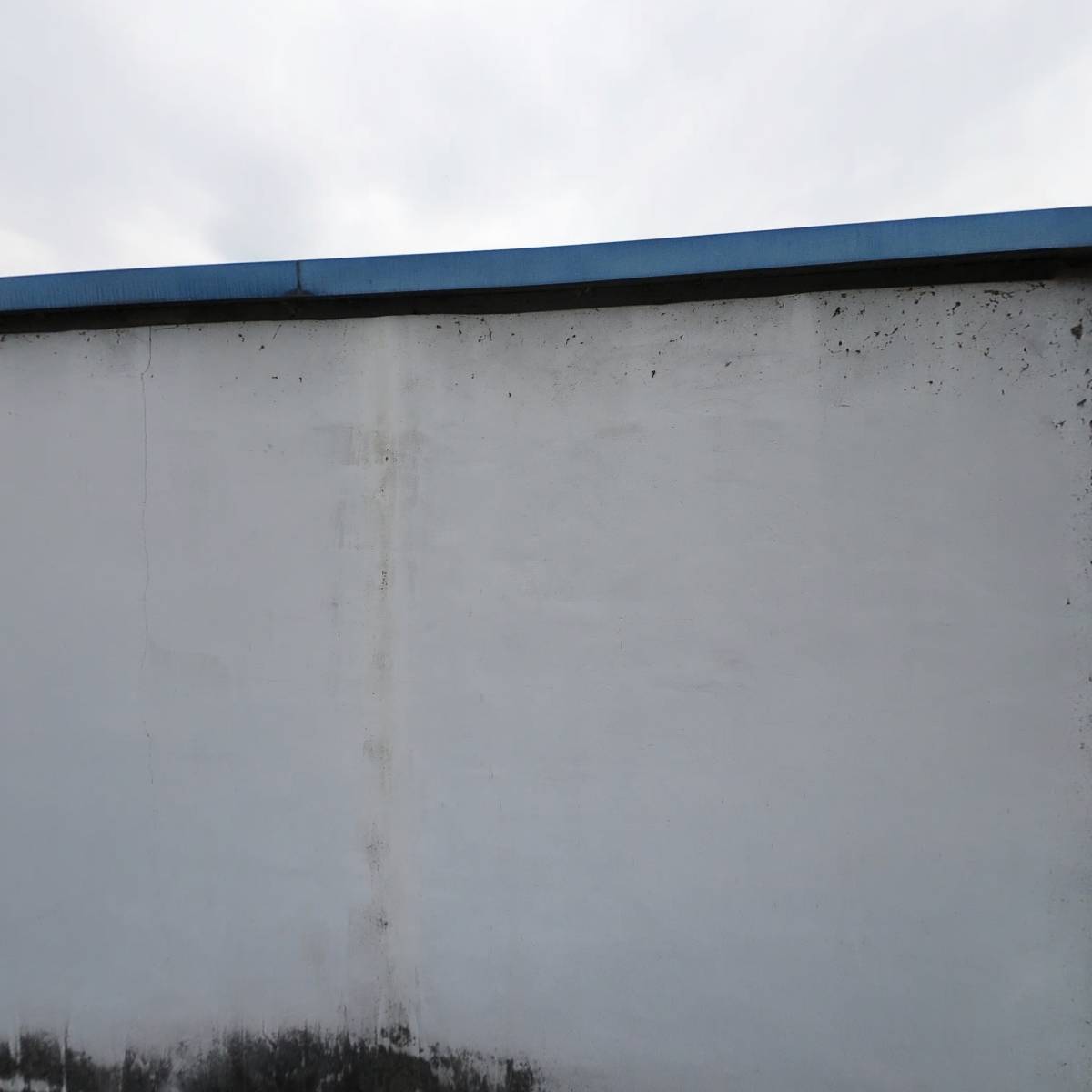 구례군 마늘연구회