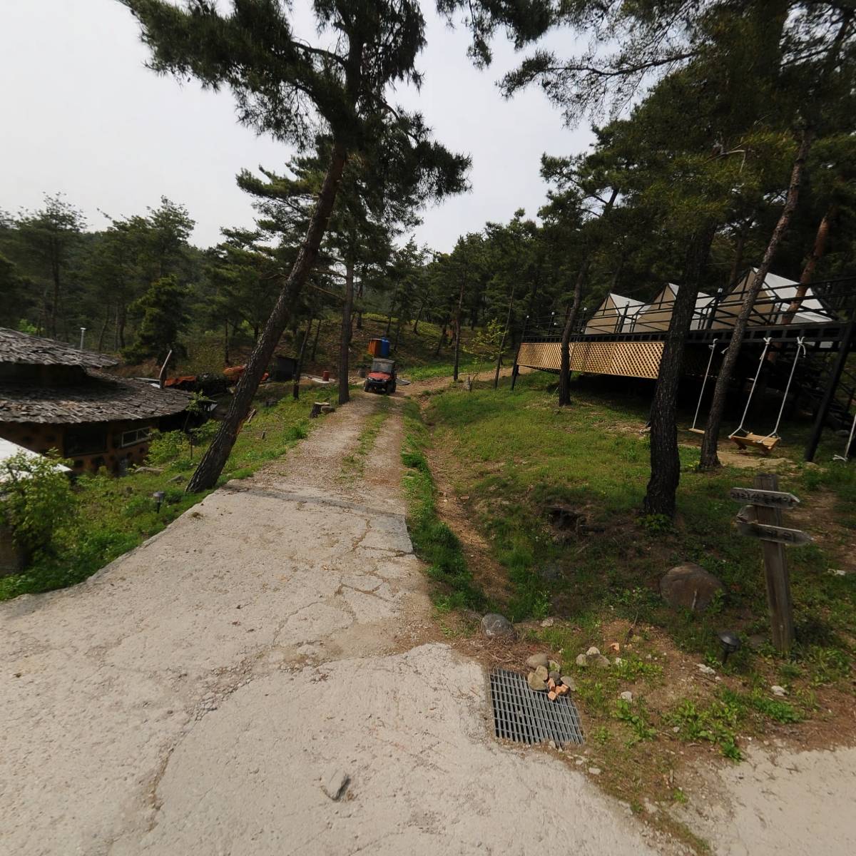 지리산구절초영농조합법인_3