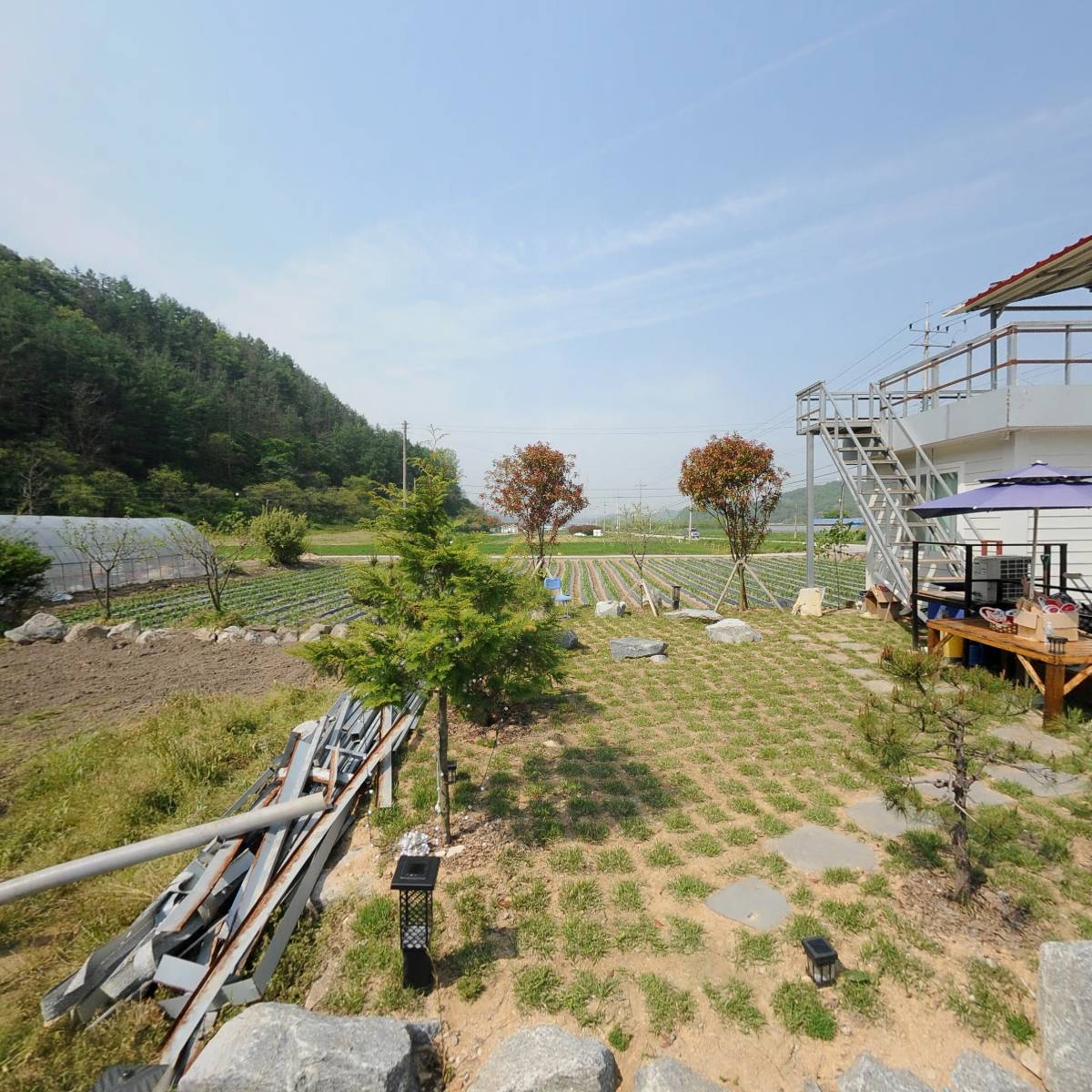 태양식품