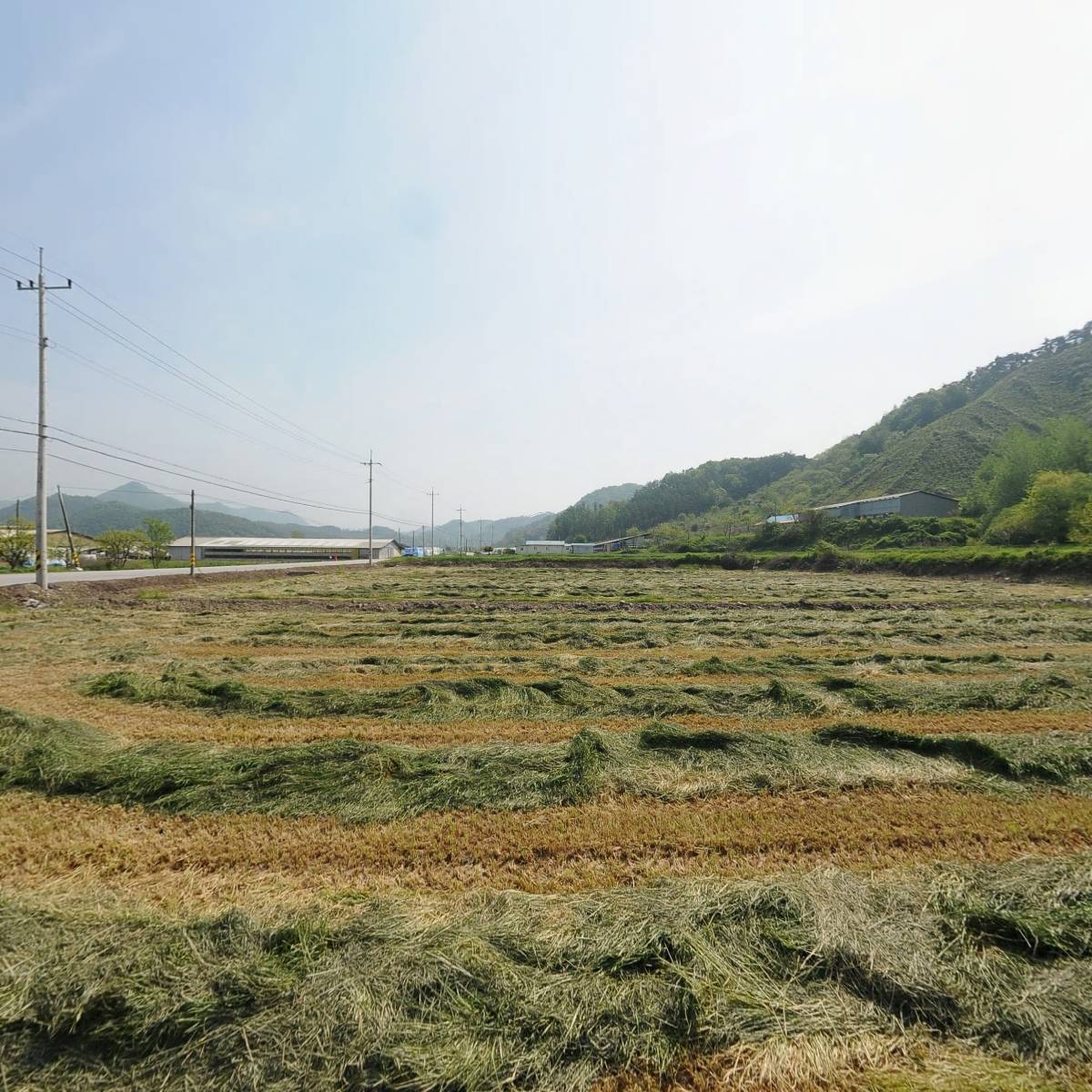 태양식품_3