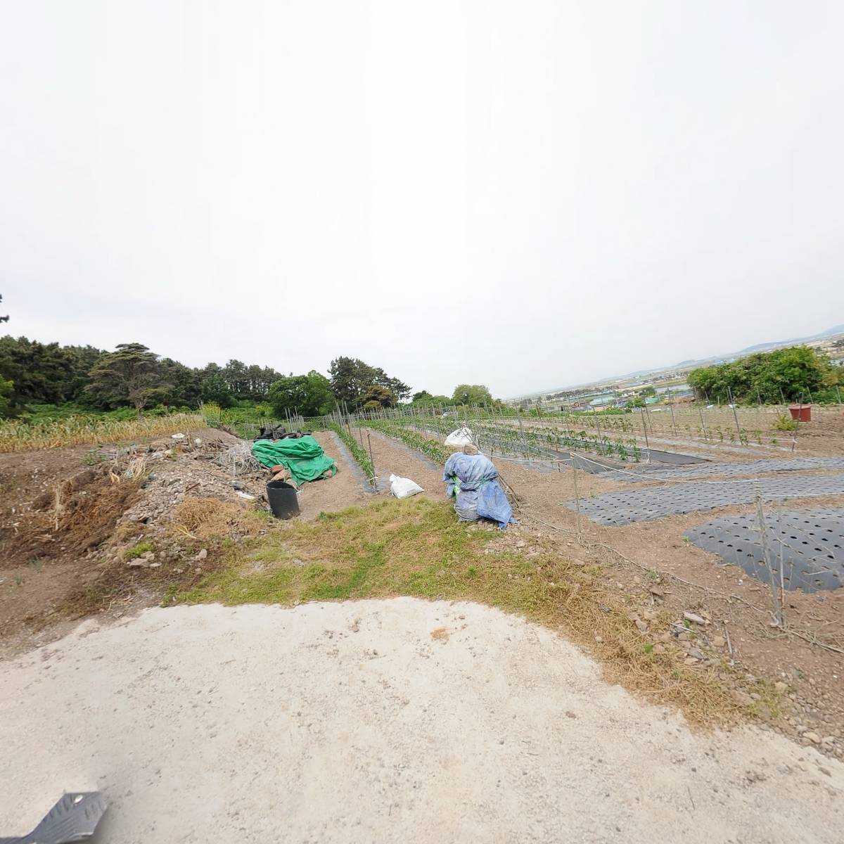우리수산
