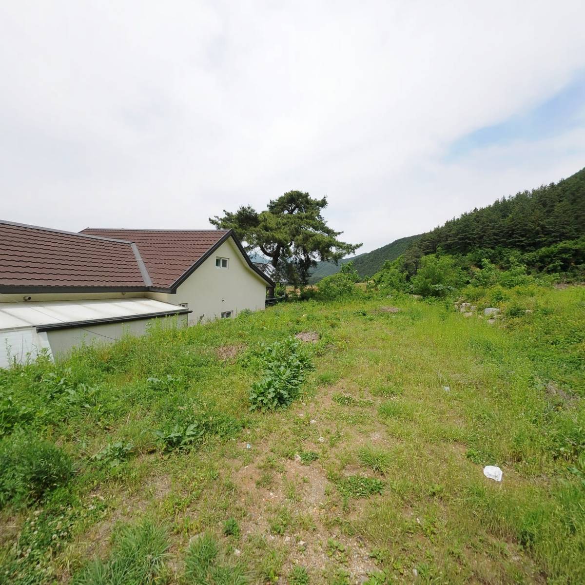 농업회사법인 천삼다초(주)_3