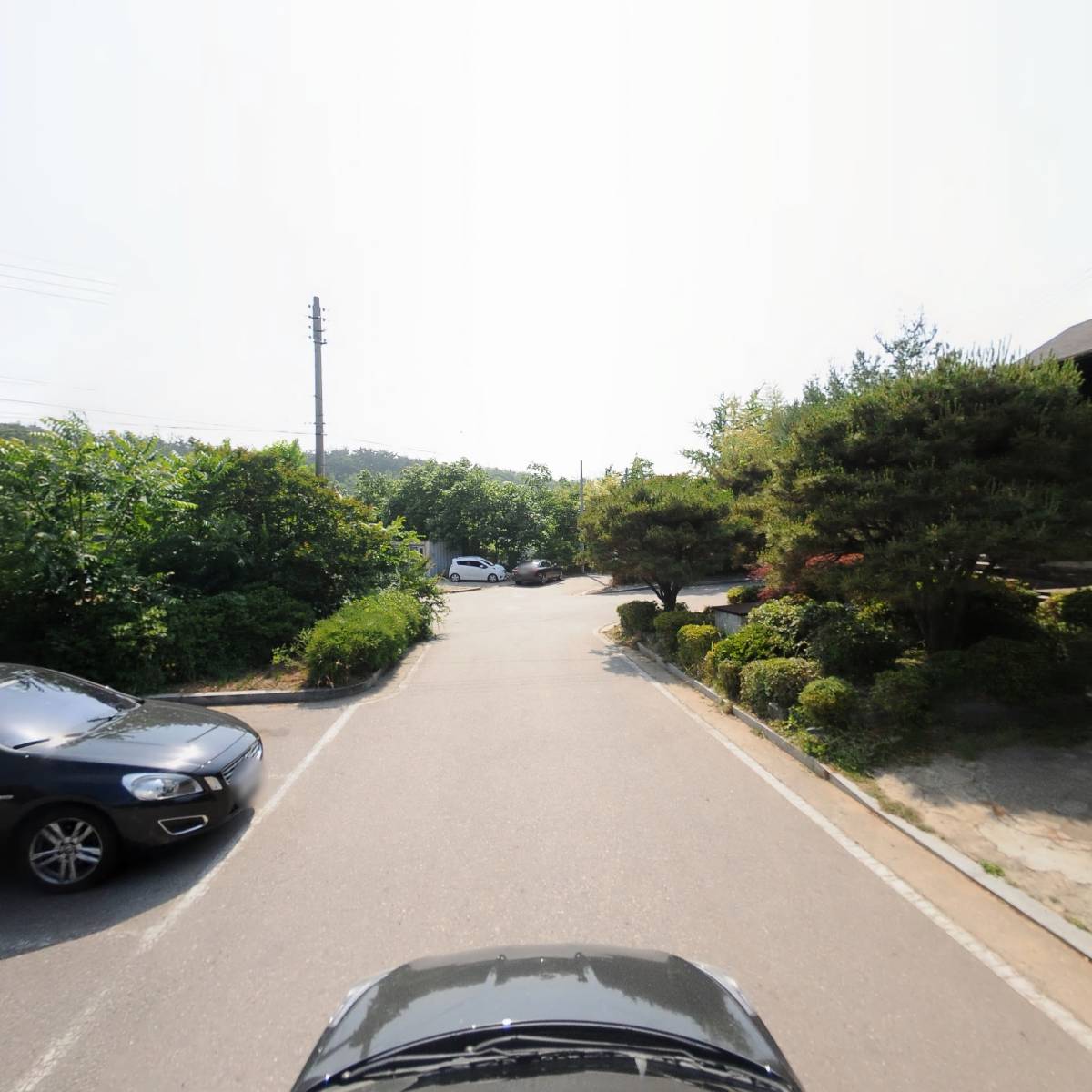 은파풍천장어_4