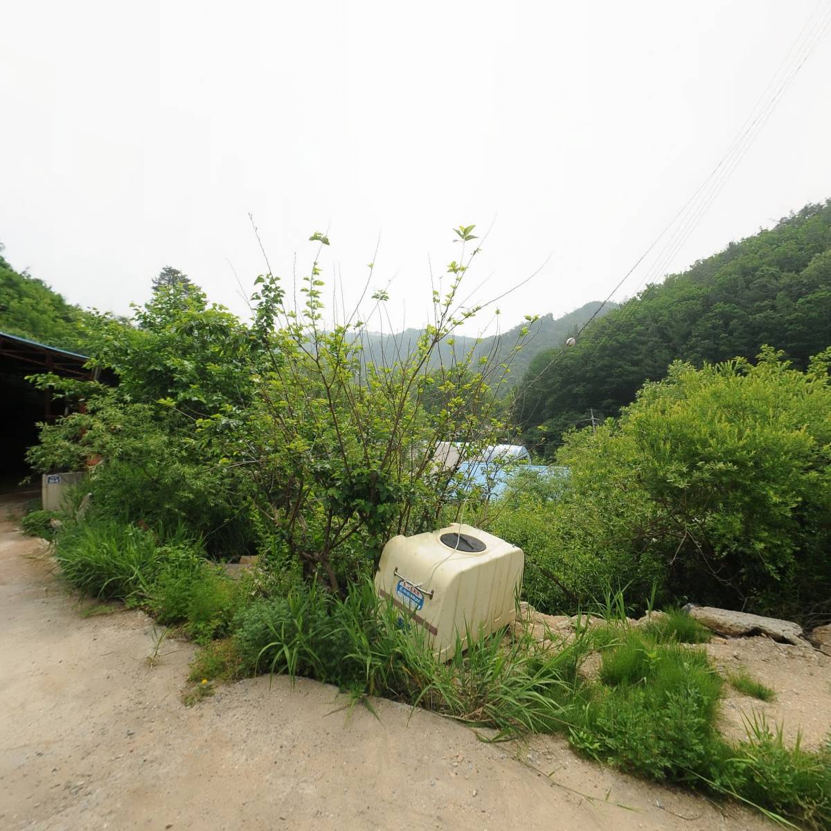 사단법인 전국사과생산자협회 진안지회
