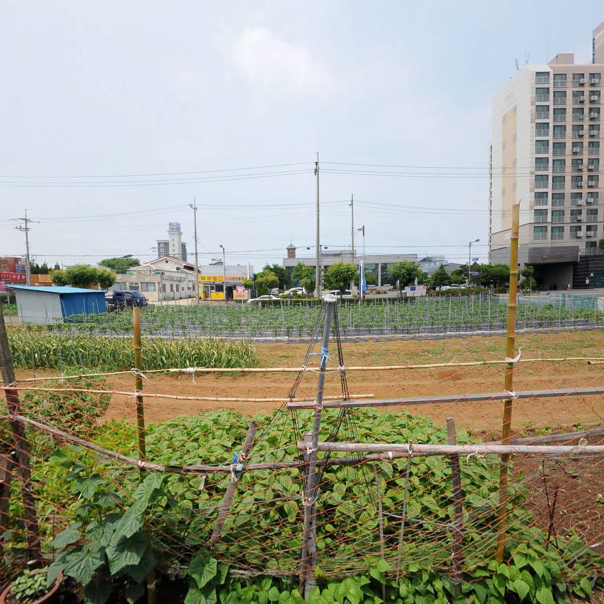 장항식자재마트