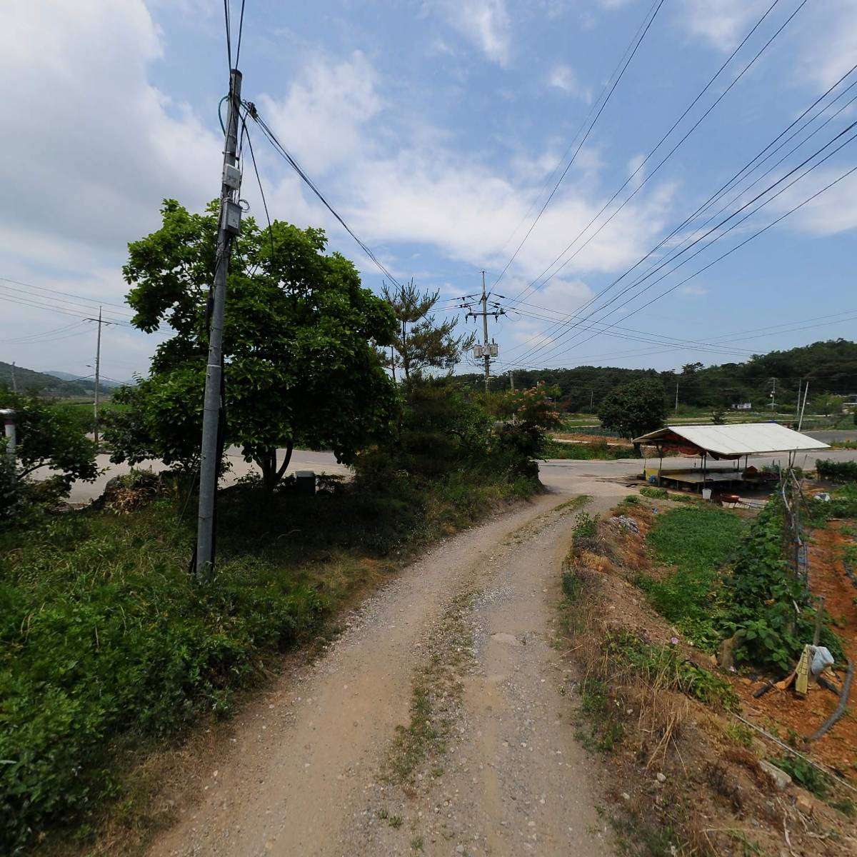 홍정애 갤러리 소풍_2