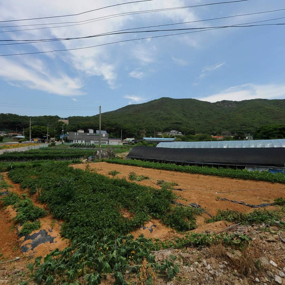 홍정애 갤러리 소풍_3