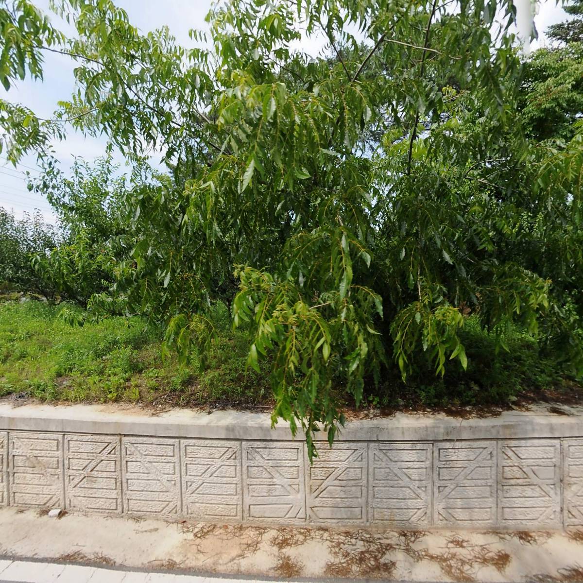 우리생활연구소_3
