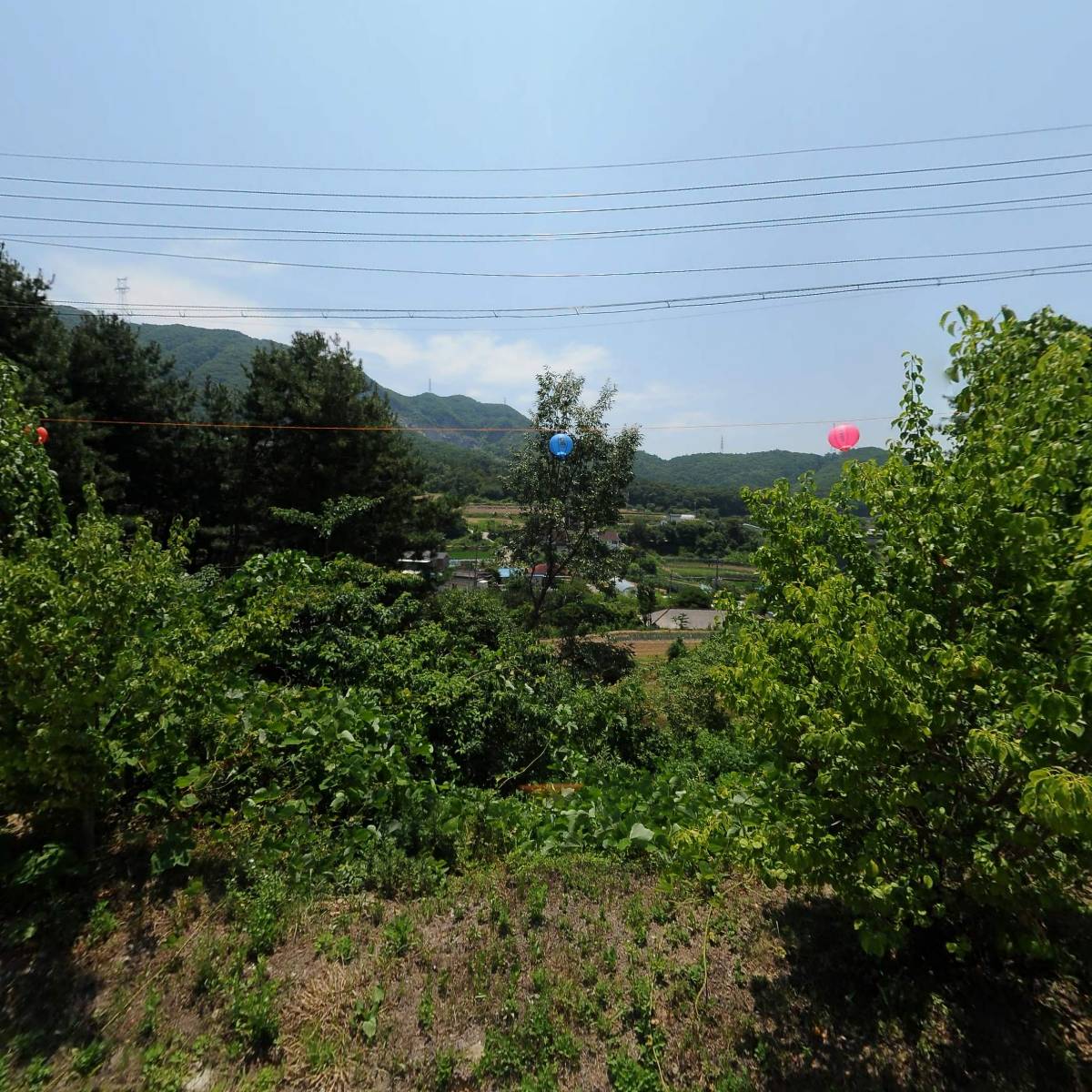 회향선원_3