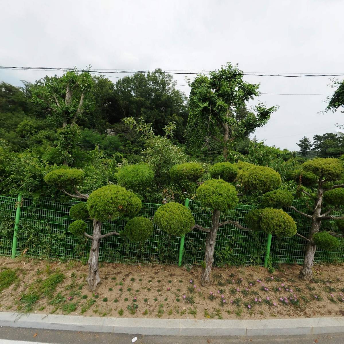 대천여자상업고등학교_3