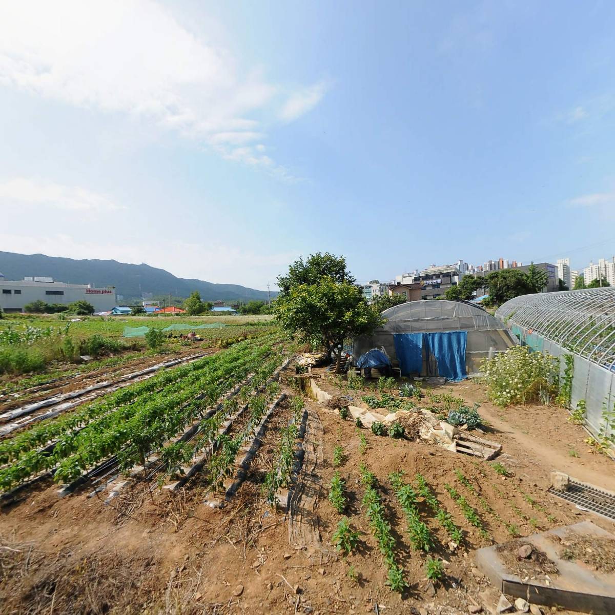 기독교대한성결교회보령밀알교회