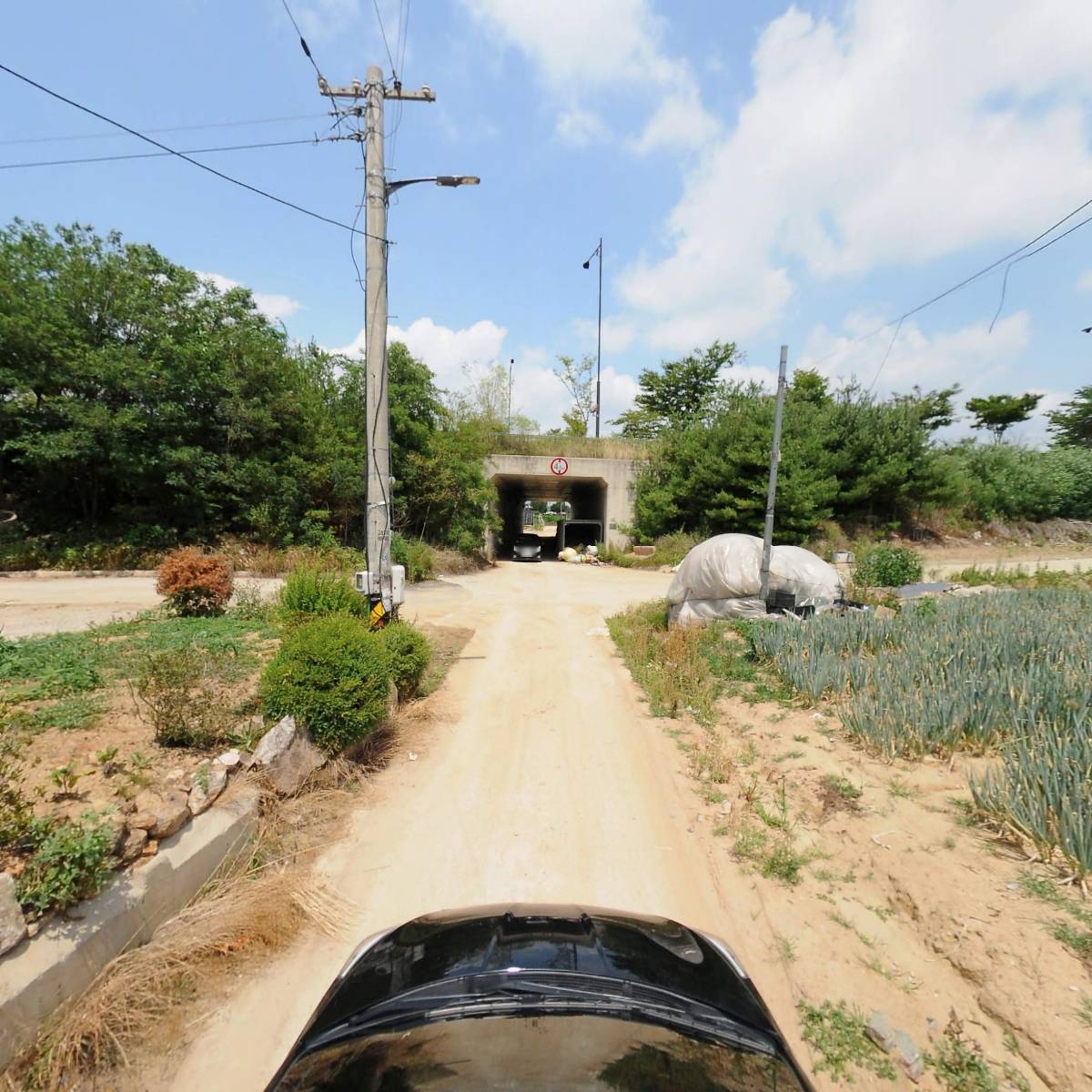 일심팜 농업회사법인 유한회사_4