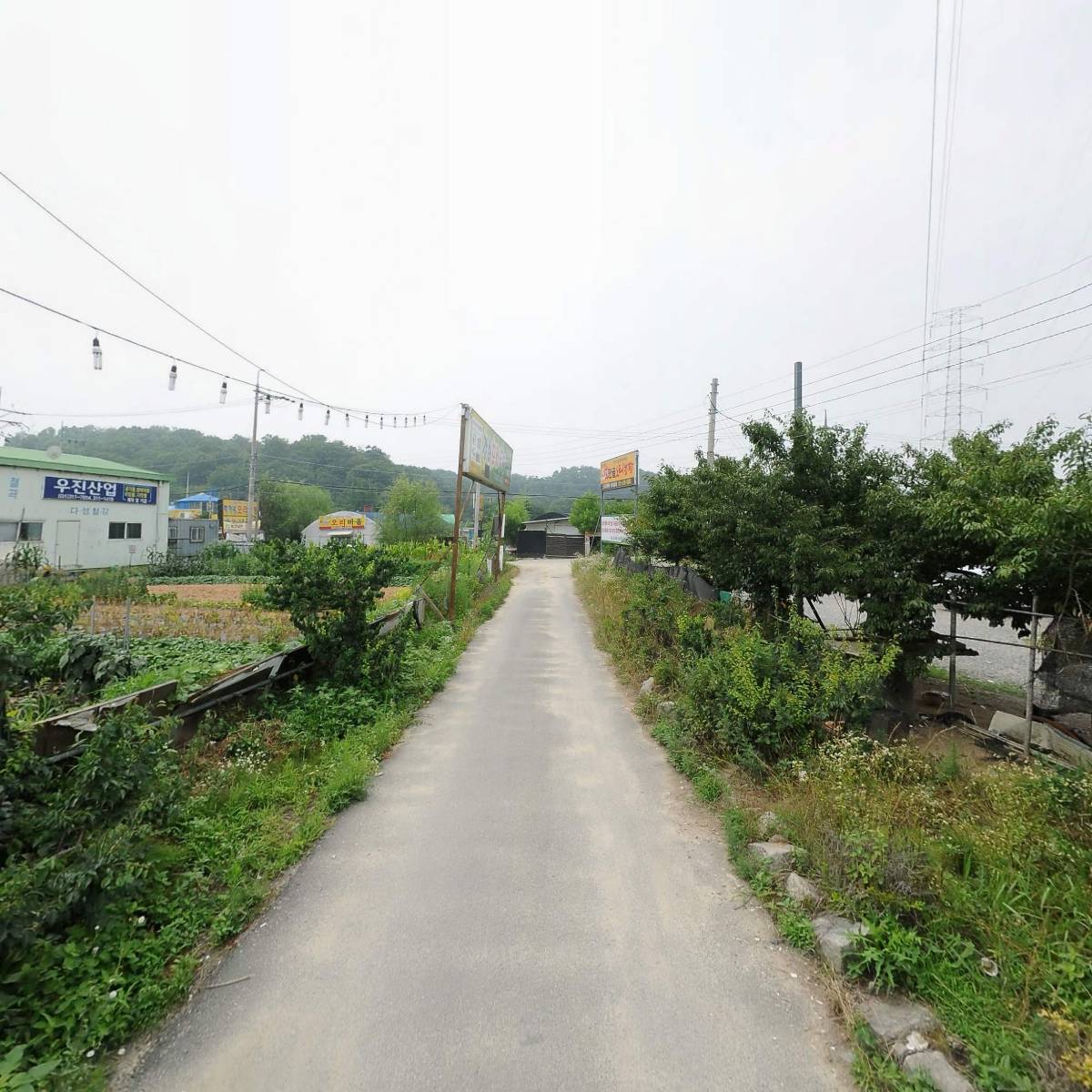 담또오리_2
