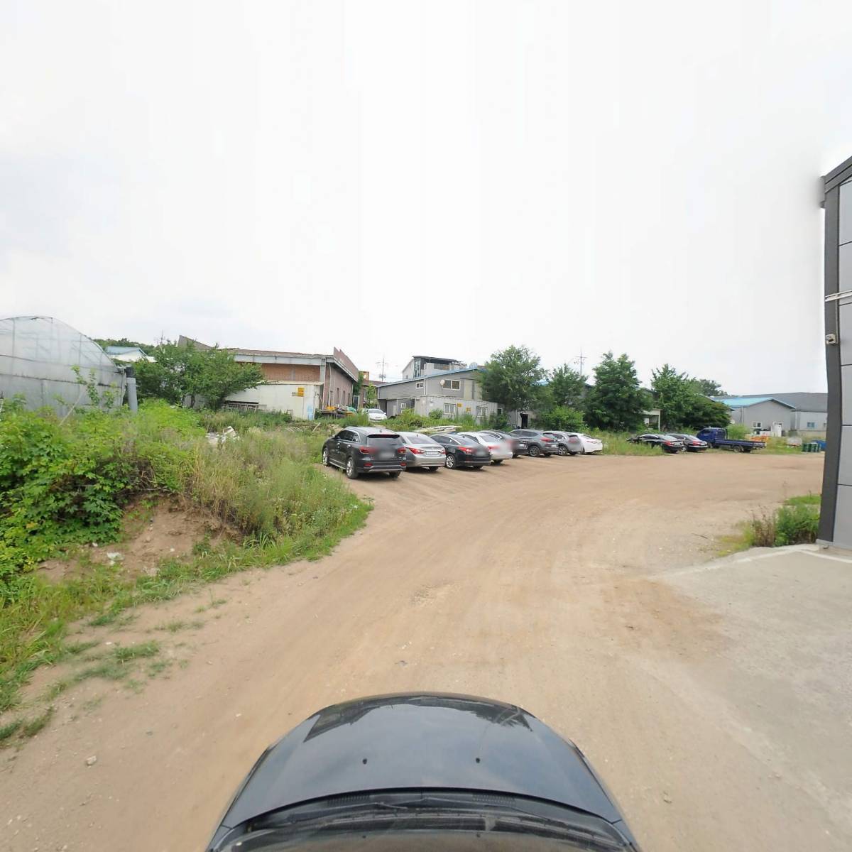 나무B_4