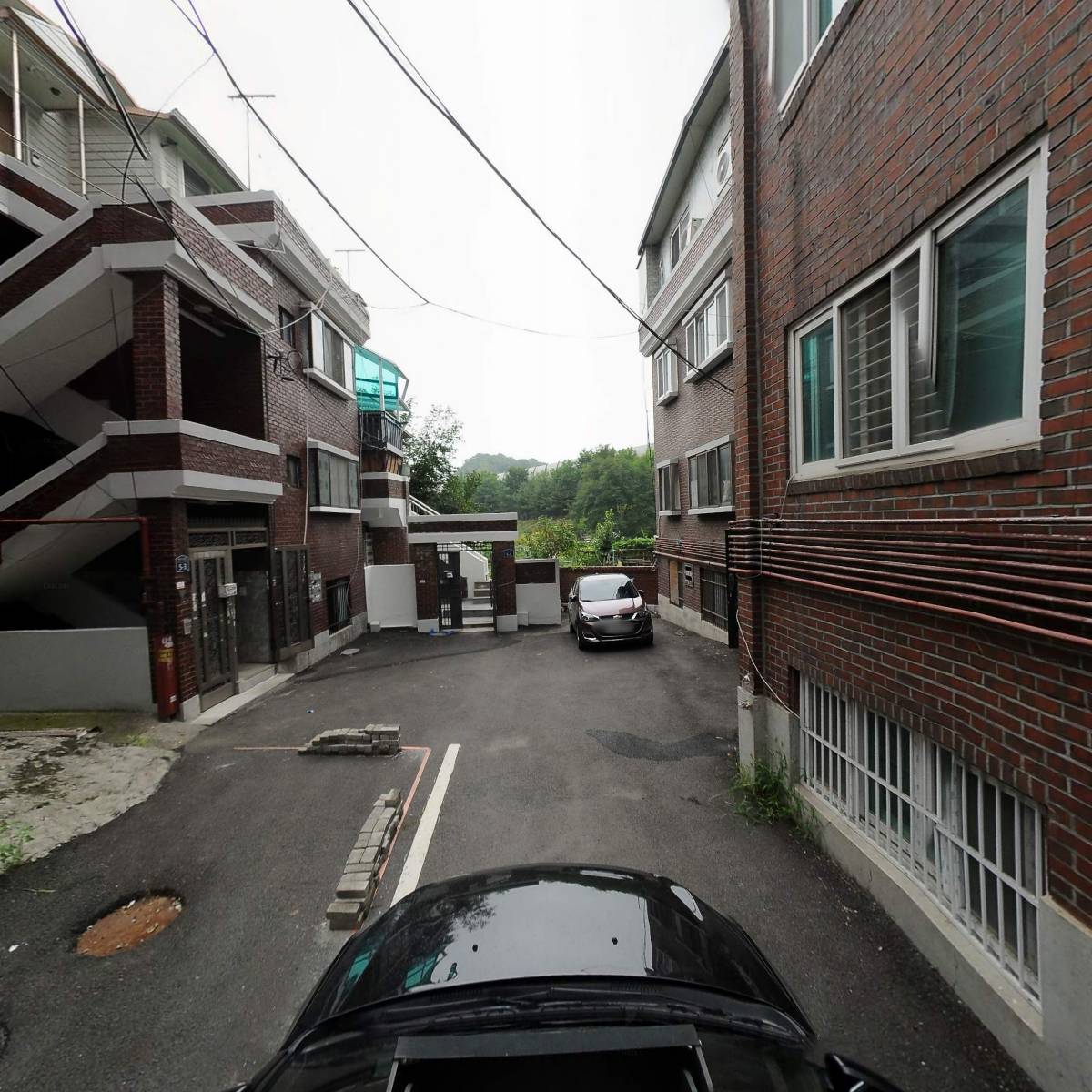 도그인_4