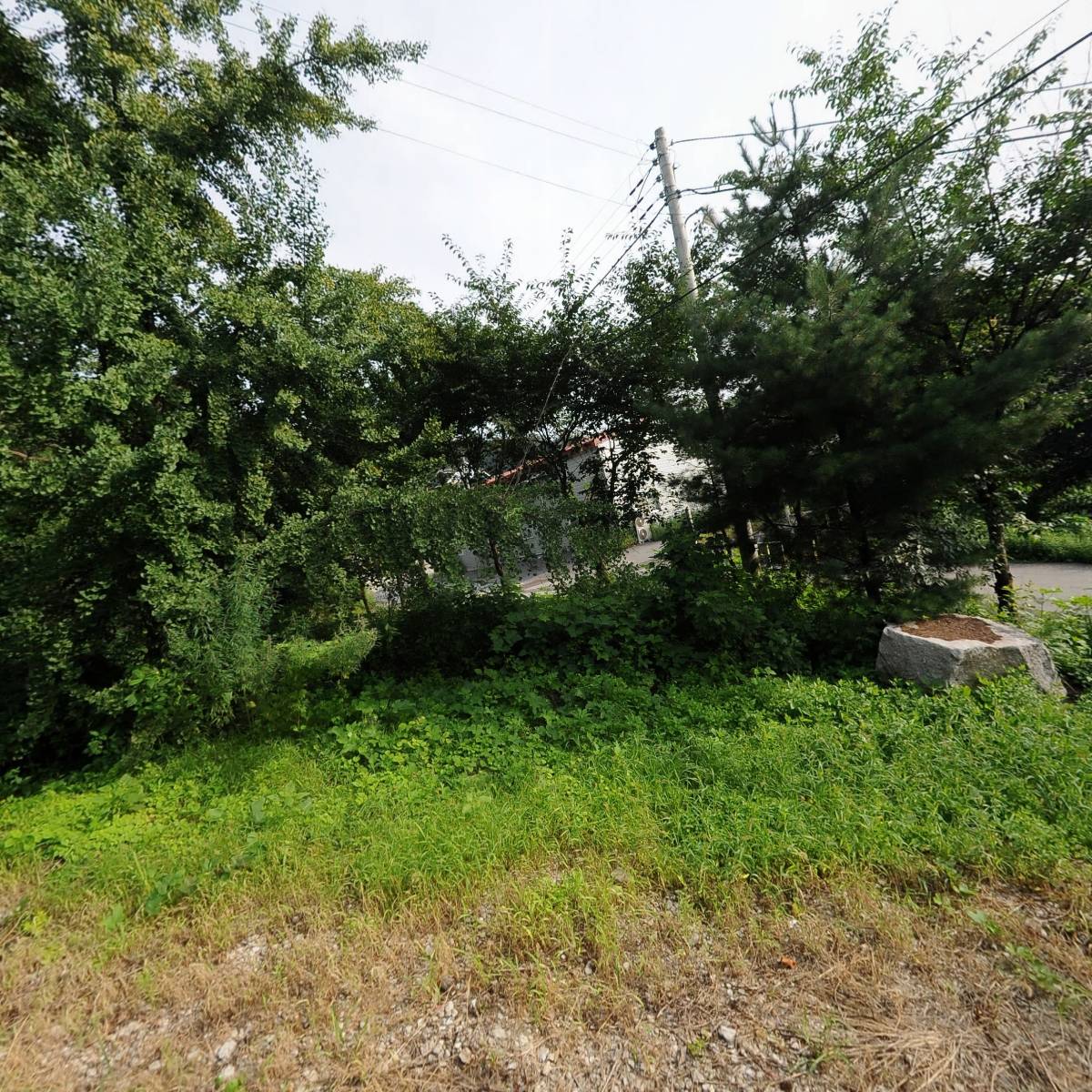 (주)효정전력