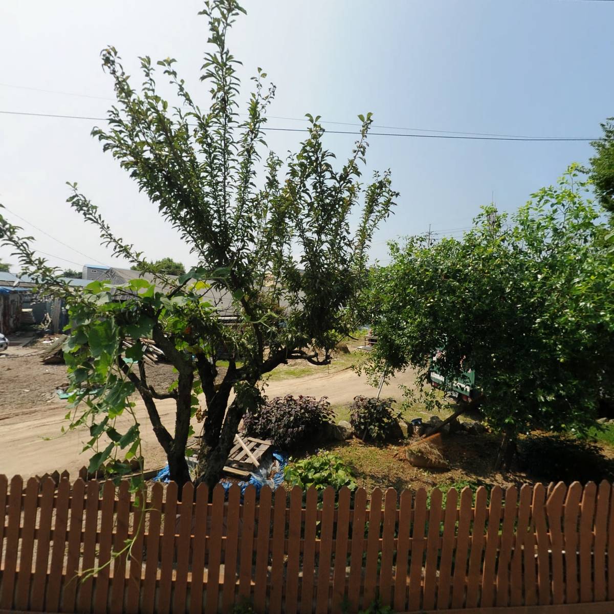 물댄동산