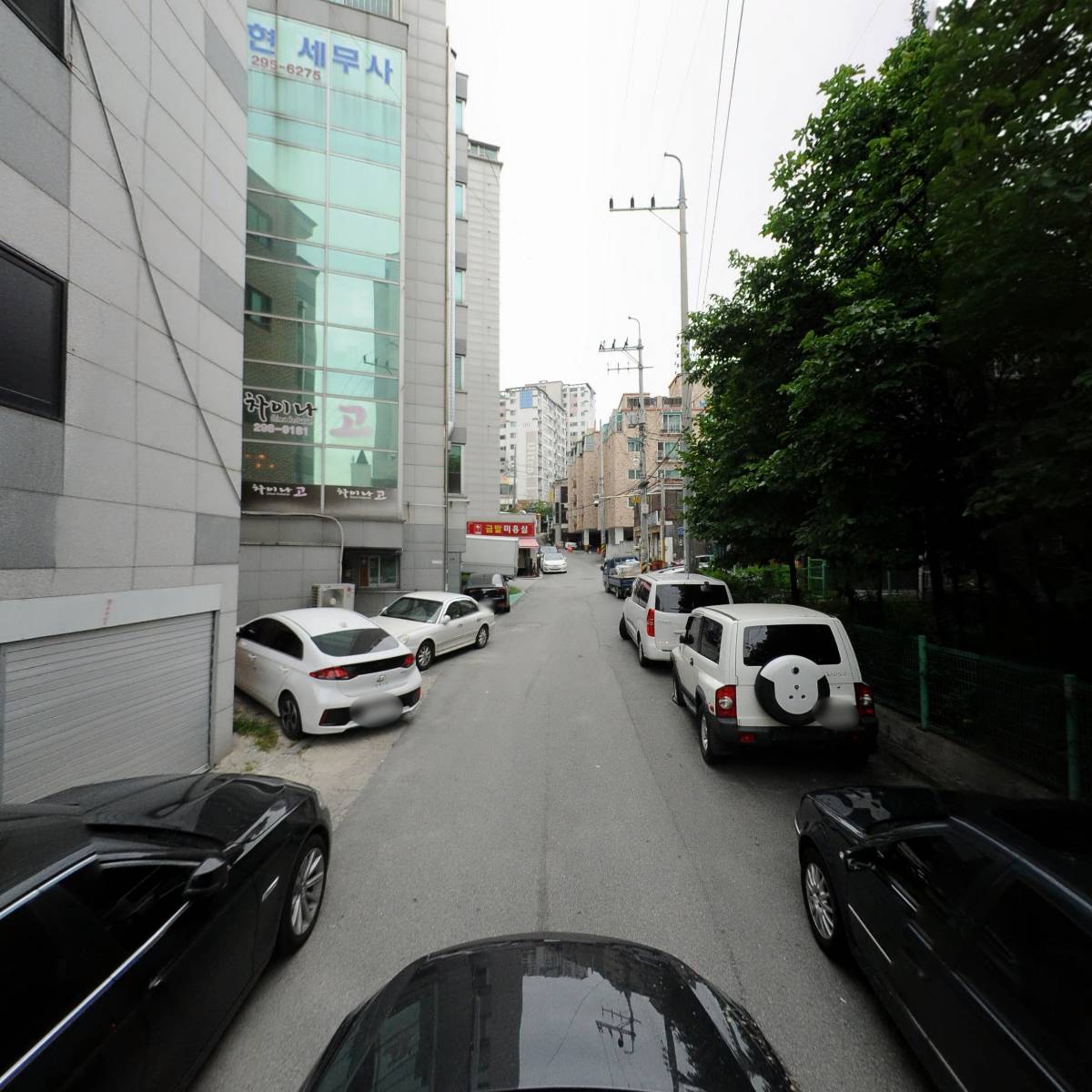 금평 보금자리 애견미용텔_4