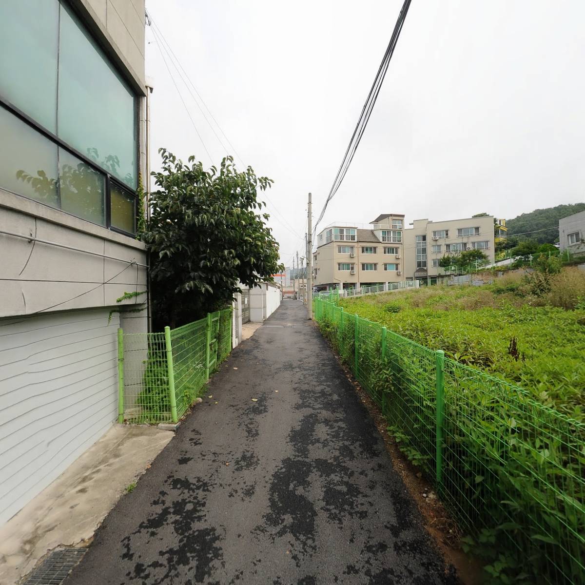 스페셜에디션밴_2