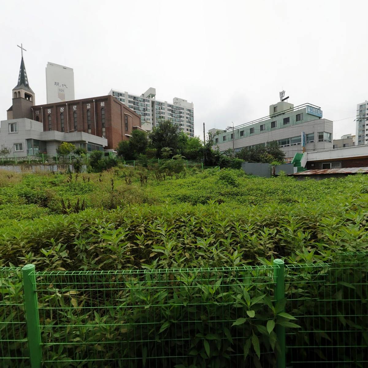 스페셜에디션밴_3