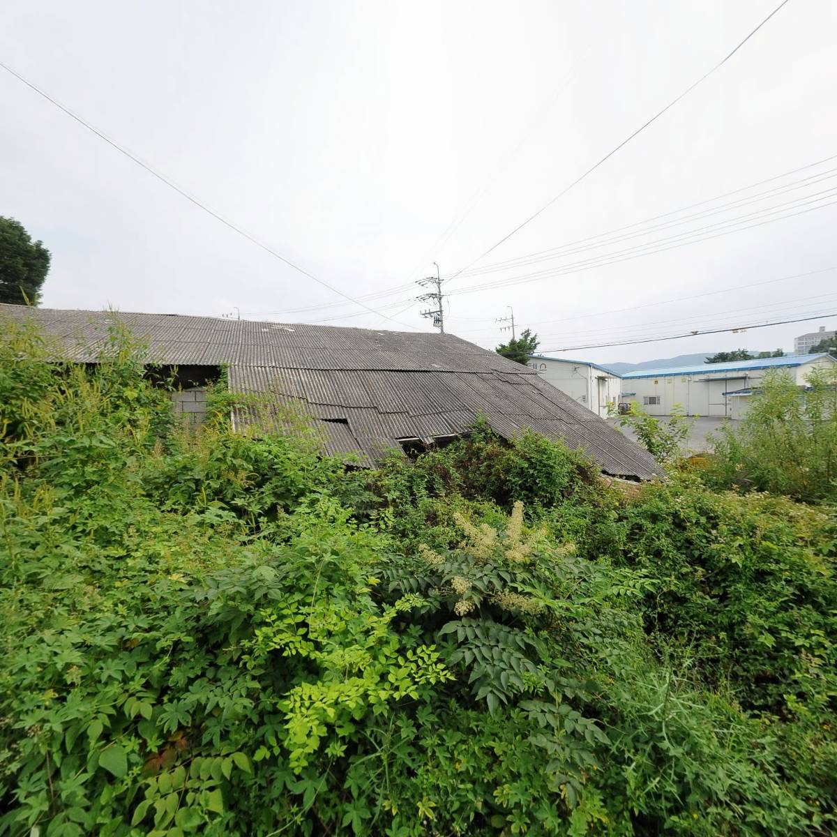 한보 F&C