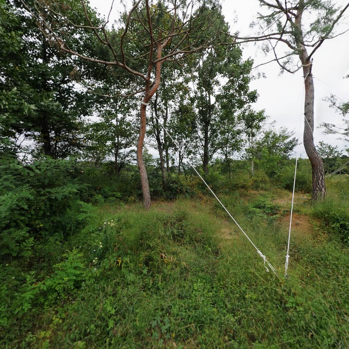 주식회사 유티스닷컴