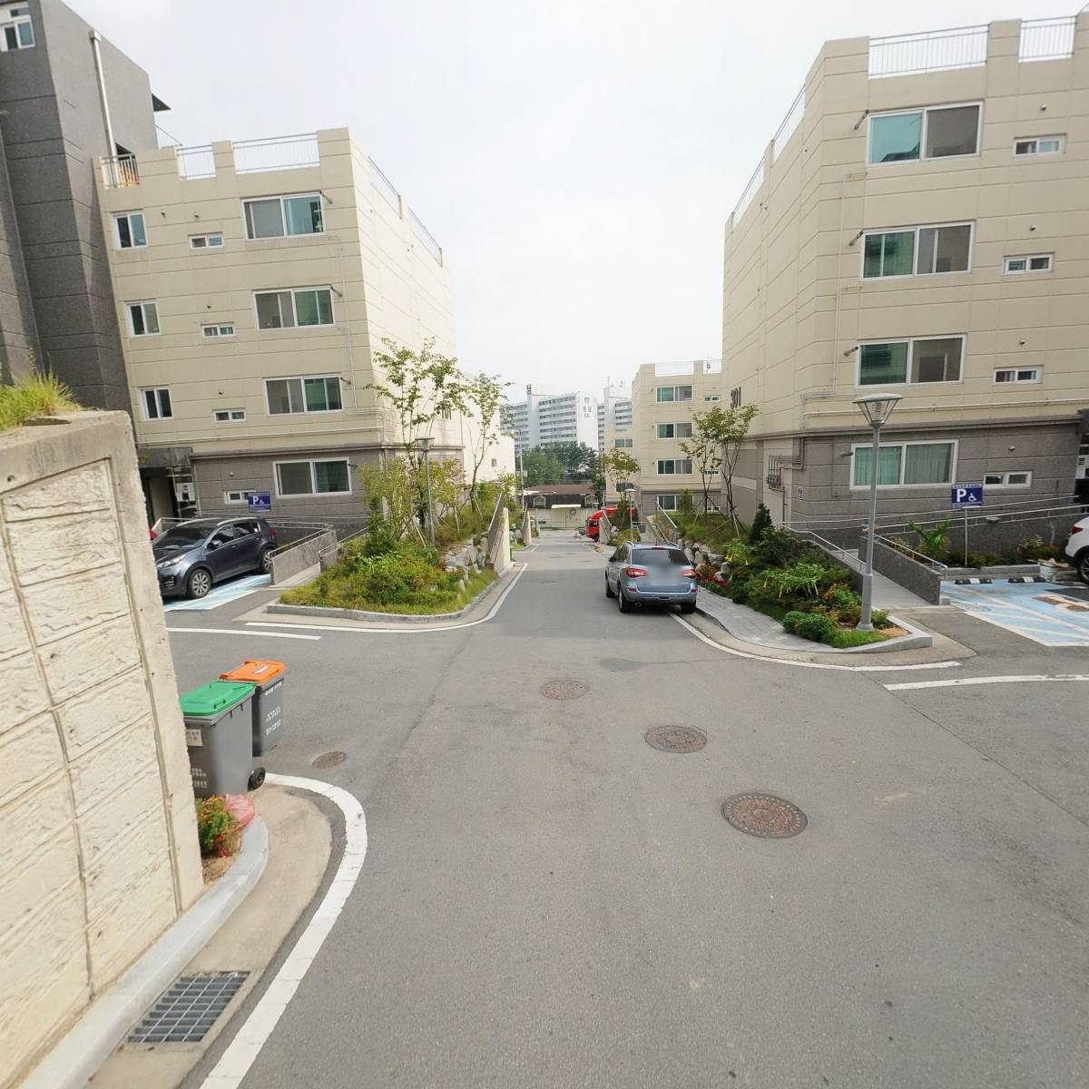 아조네수제간식_2