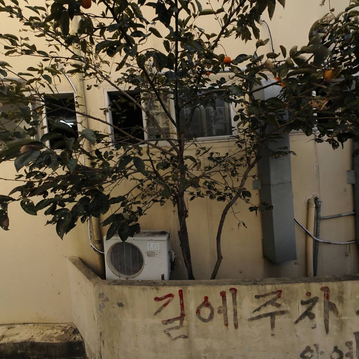 SM덴탈랩_3