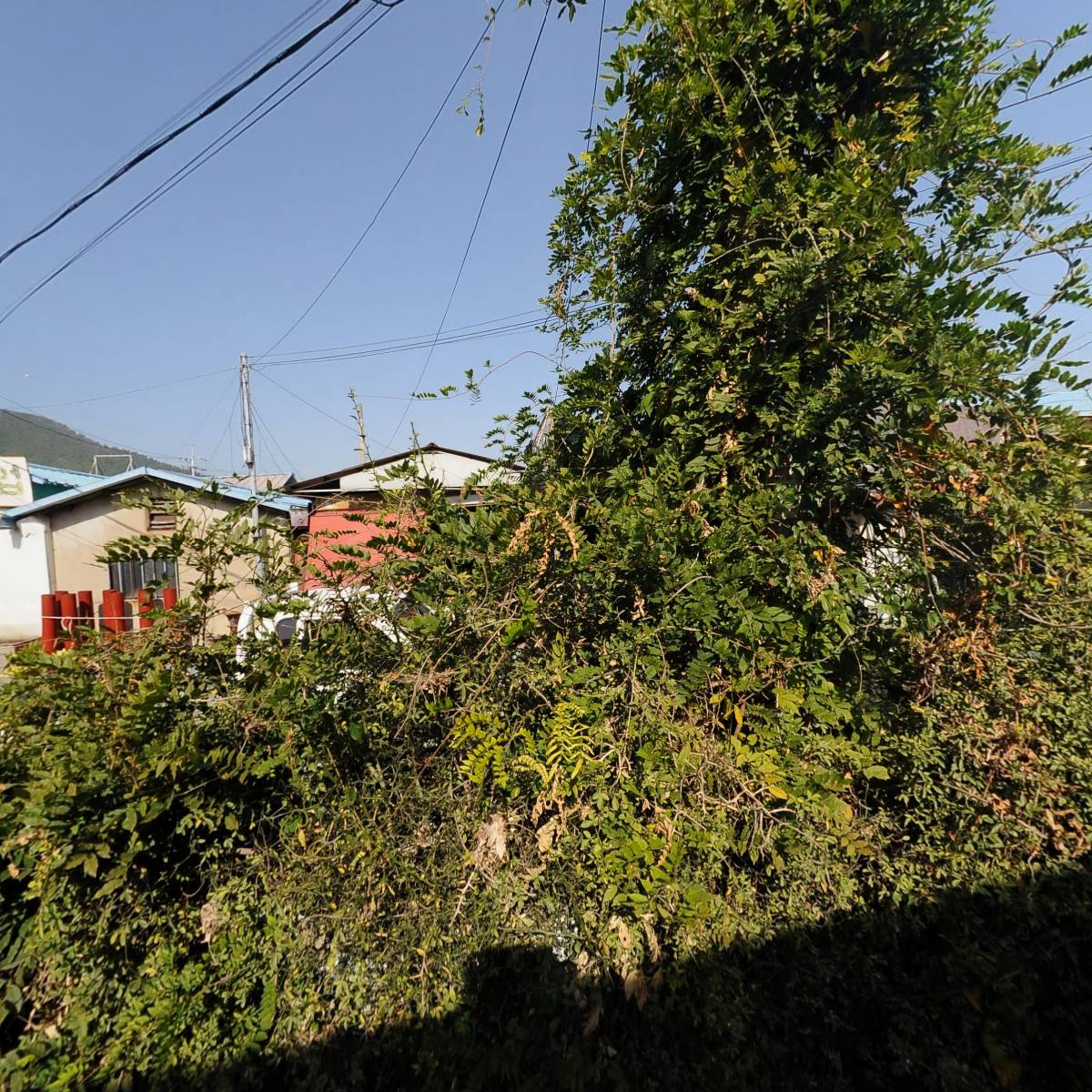 대건 인테리어(타일)_3