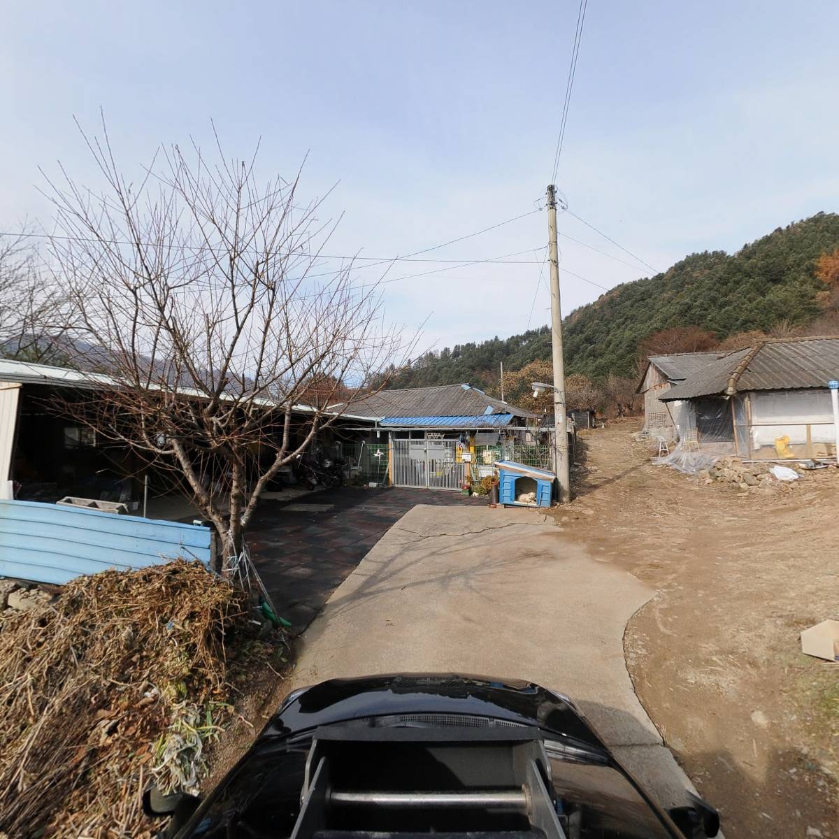 정이네꿀벌농장_4