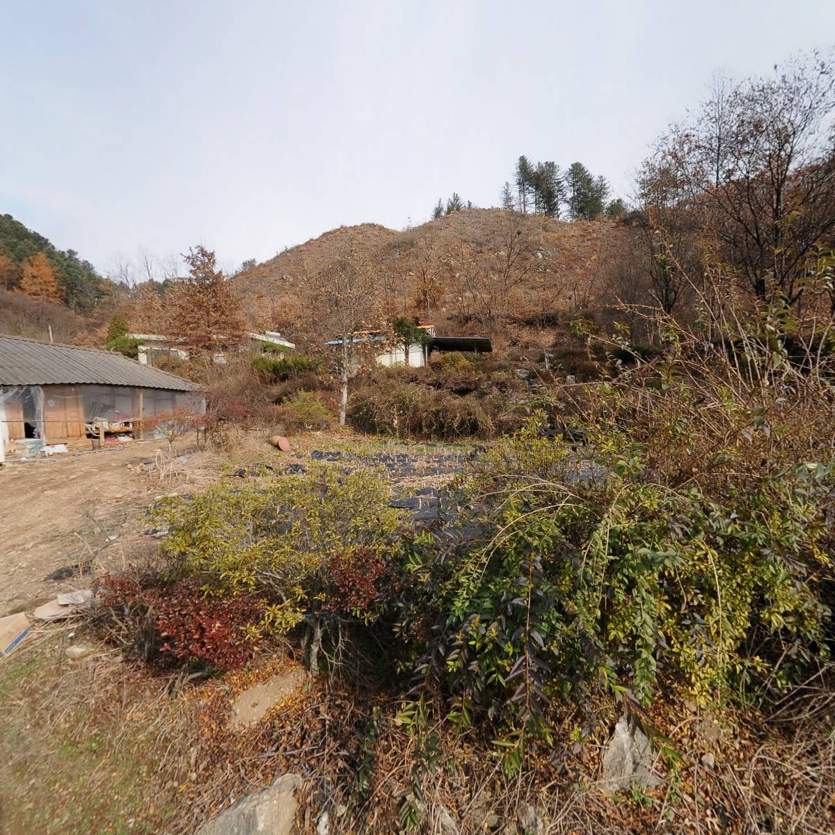 정이네꿀벌농장