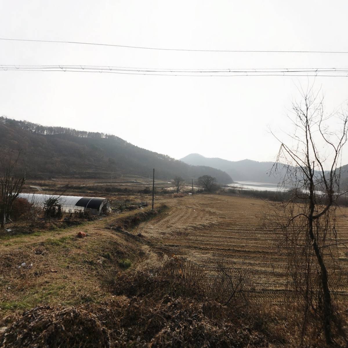 파평윤씨 자성공