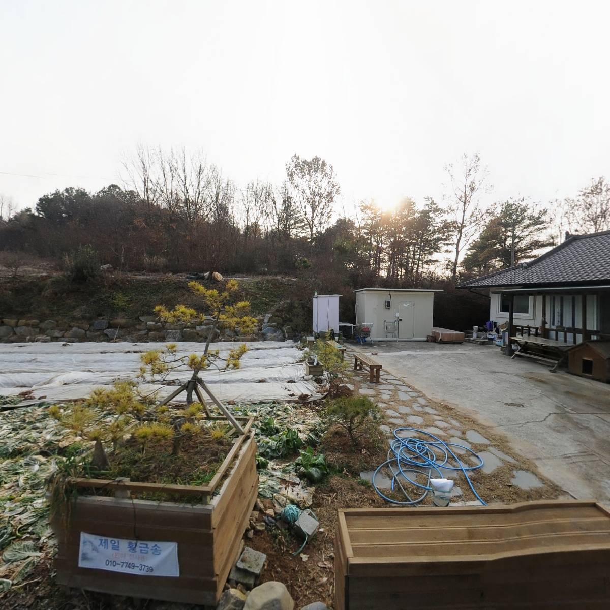 파리광고 전자 파리노래방기기대여