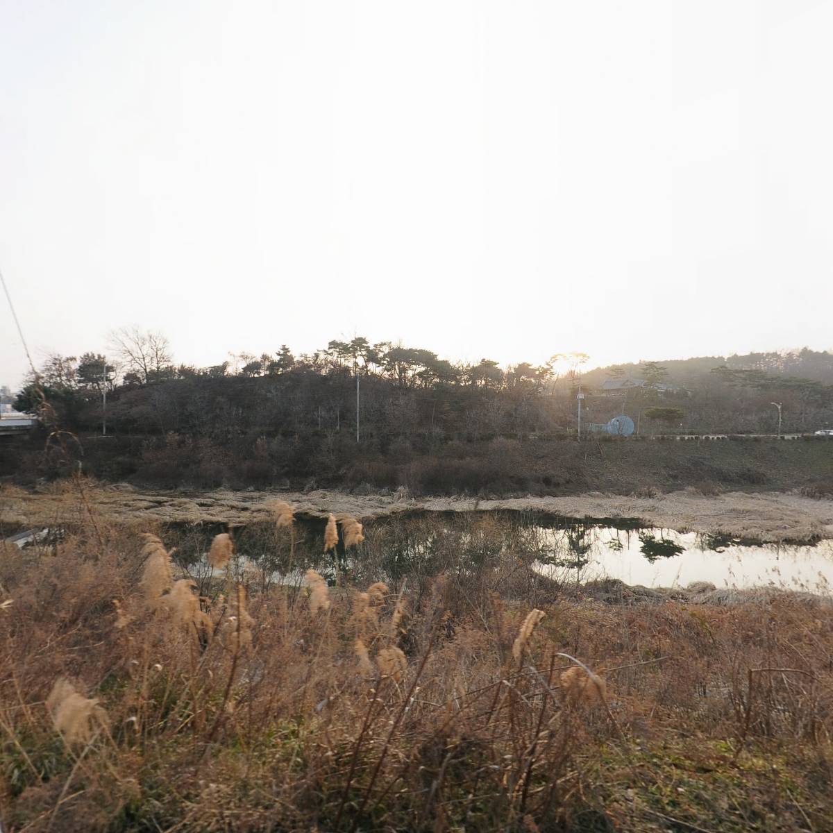 서울우유부여대리점