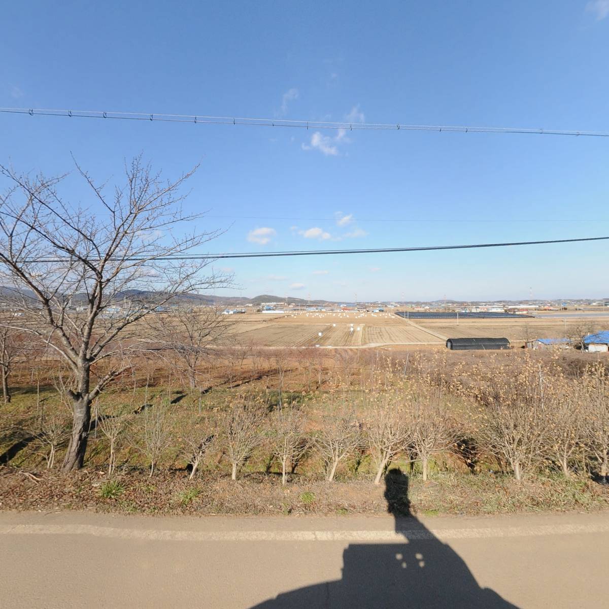 예산표고버섯_3