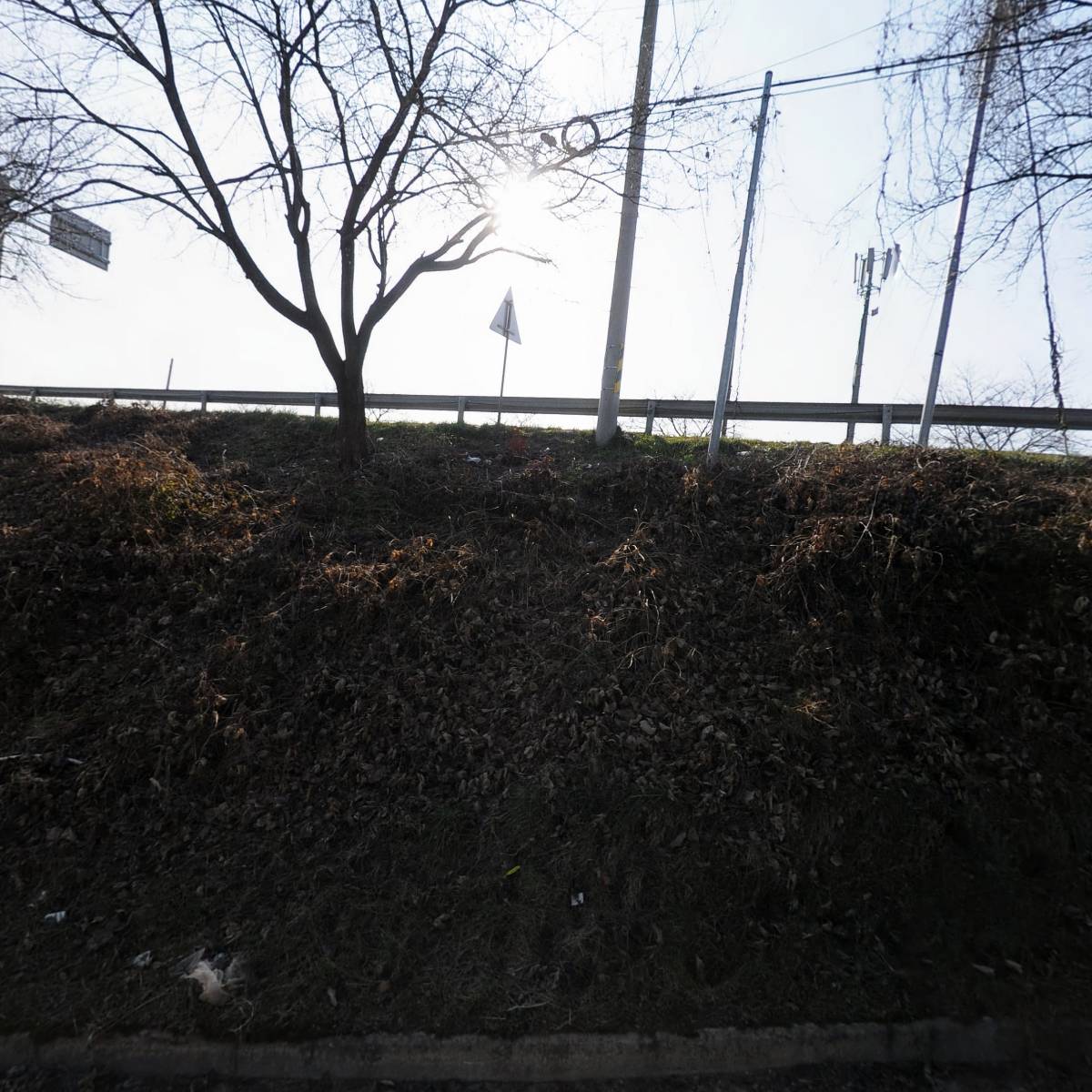 운암조경　　　_3