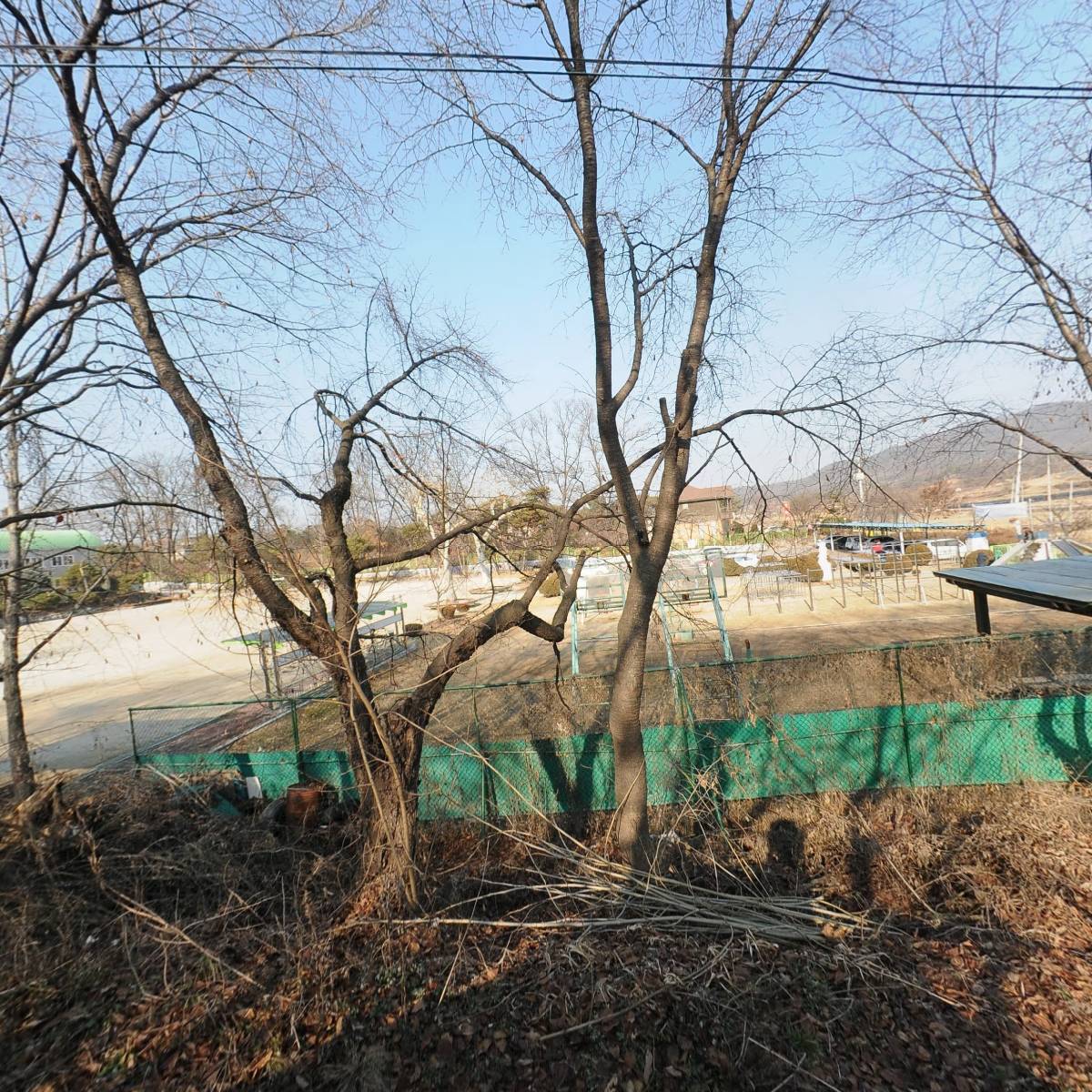송삼초등학교