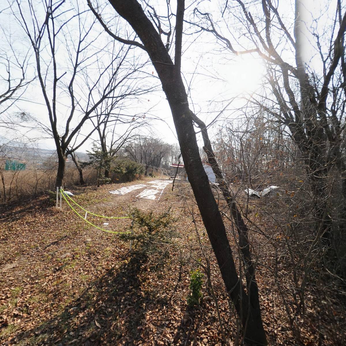 송삼초등학교_3