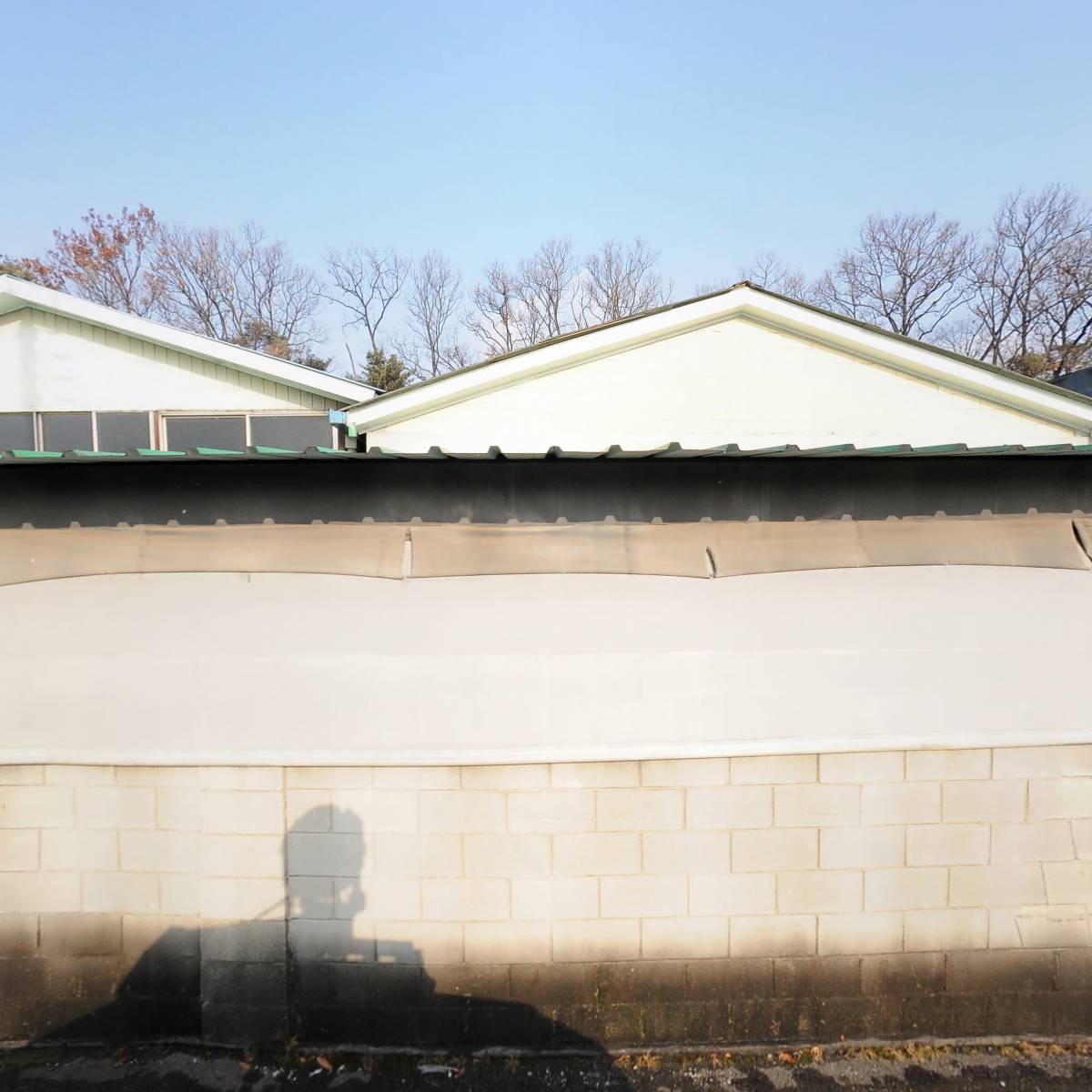 수풀로