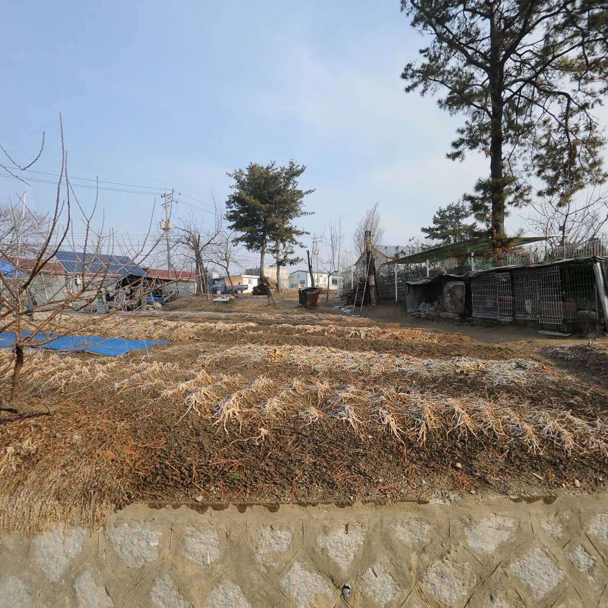 파로마이즈 주식회사_3