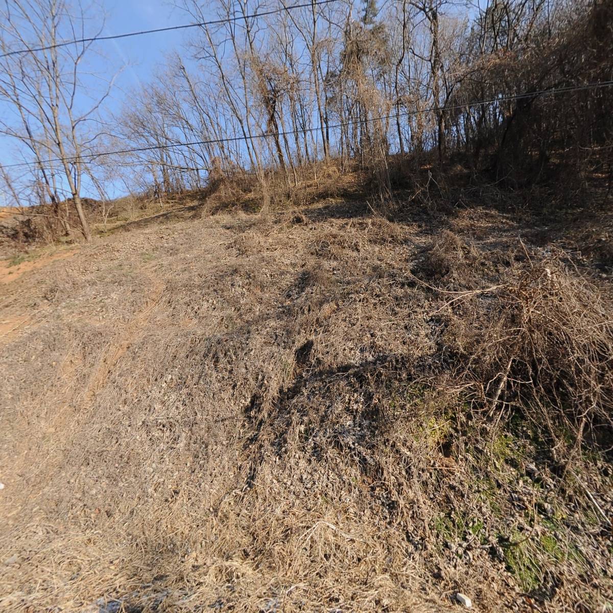 농업회사법인 주식회사 대덕농장