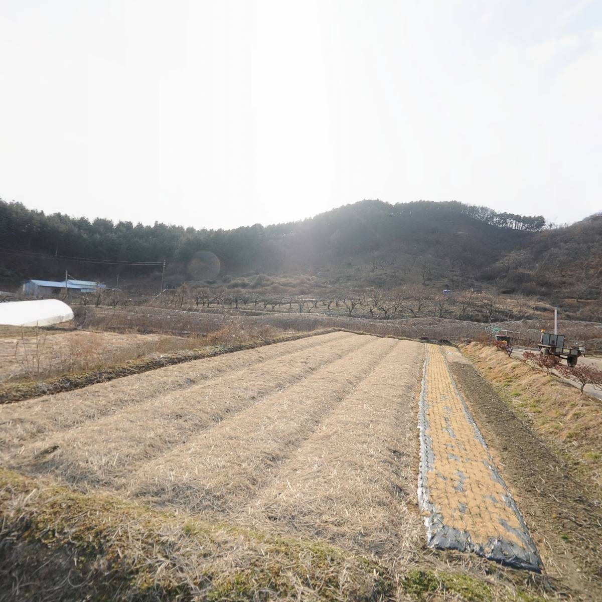 진주정씨충장공파 십일대손의자필자, 십삼대손동자언자 문중_3