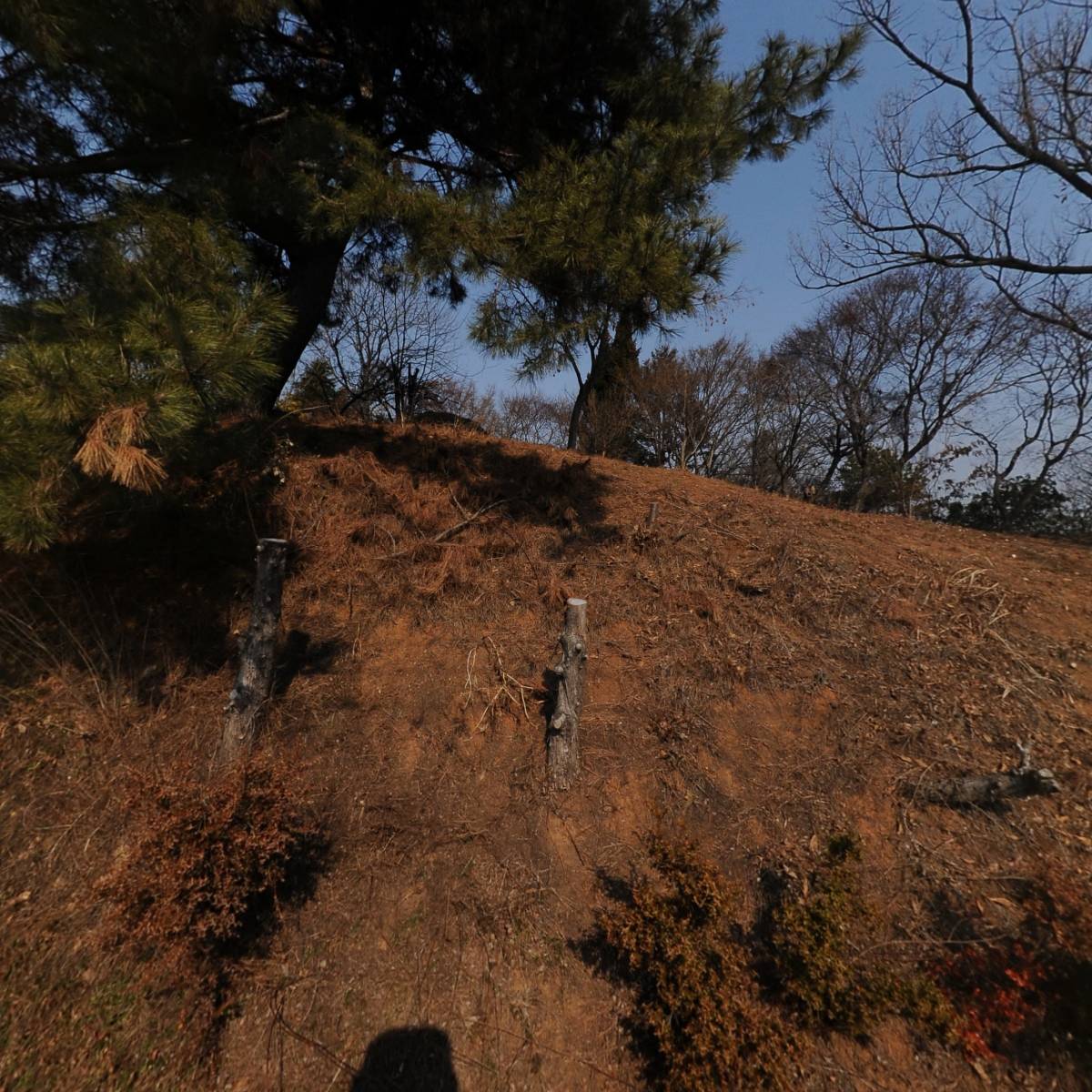 (주)메지온사료사업부