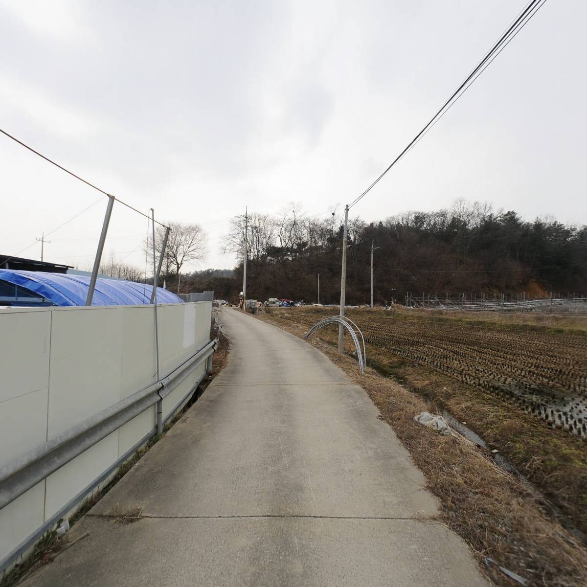 하나식품_2