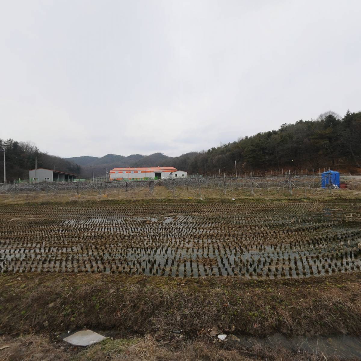 하나식품_3